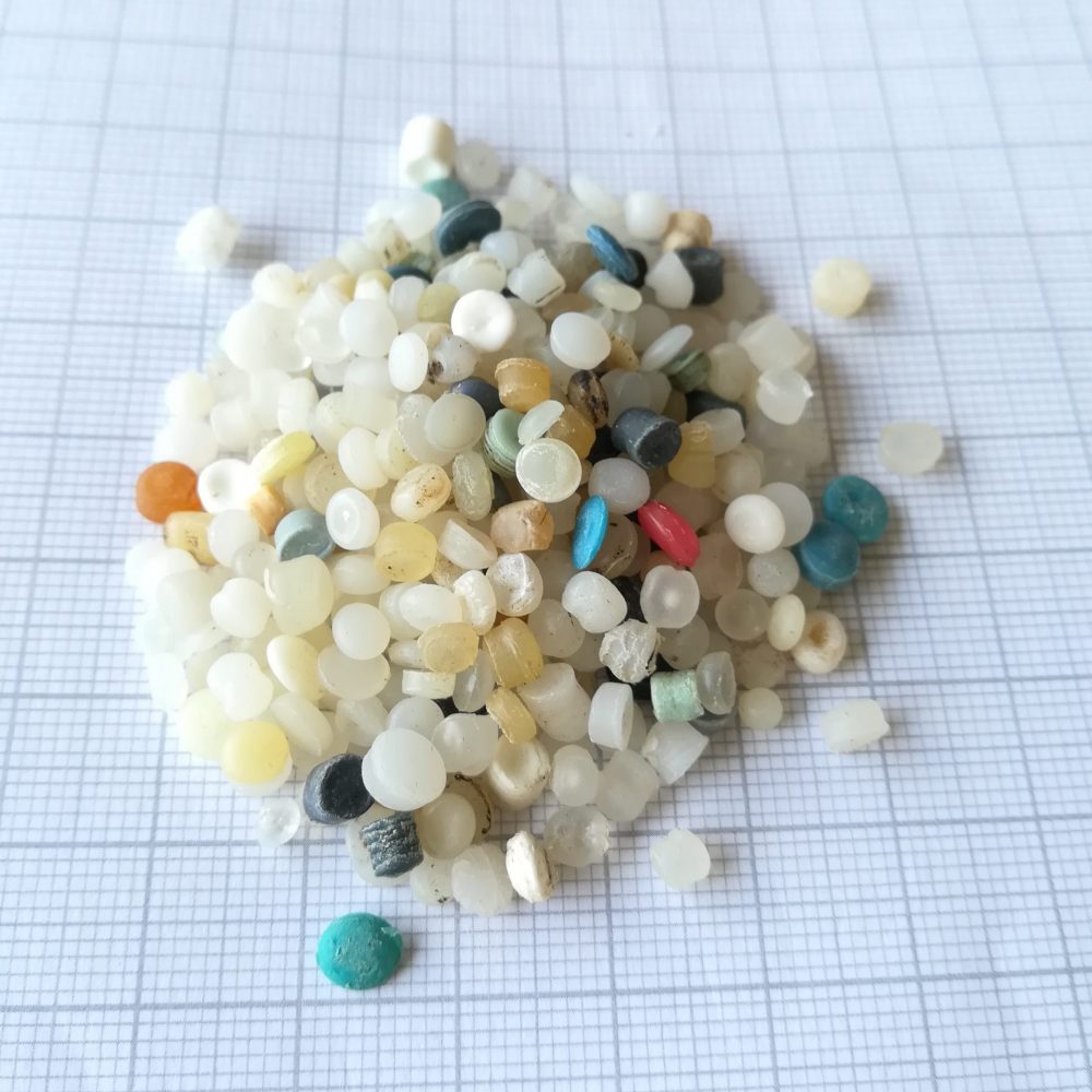 The Great Global Nurdle Hunt 2025