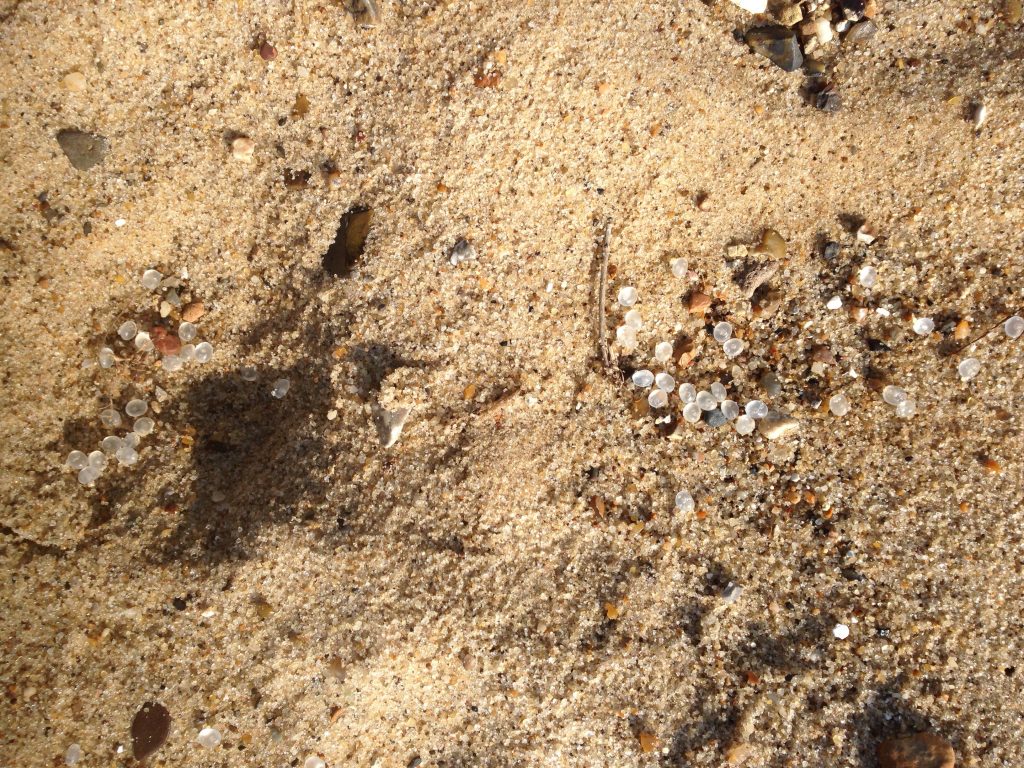 Classifying nurdles as marine pollutants through maritime policy would mean nurdles would be subject to more stringent measures when handled at sea which would significantly reduce the chances of loss.  