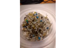 Nurdles collected by Volunteers, Italy