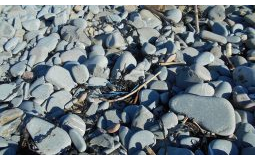 Beach Plastic