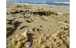 Nurdles on beach, France